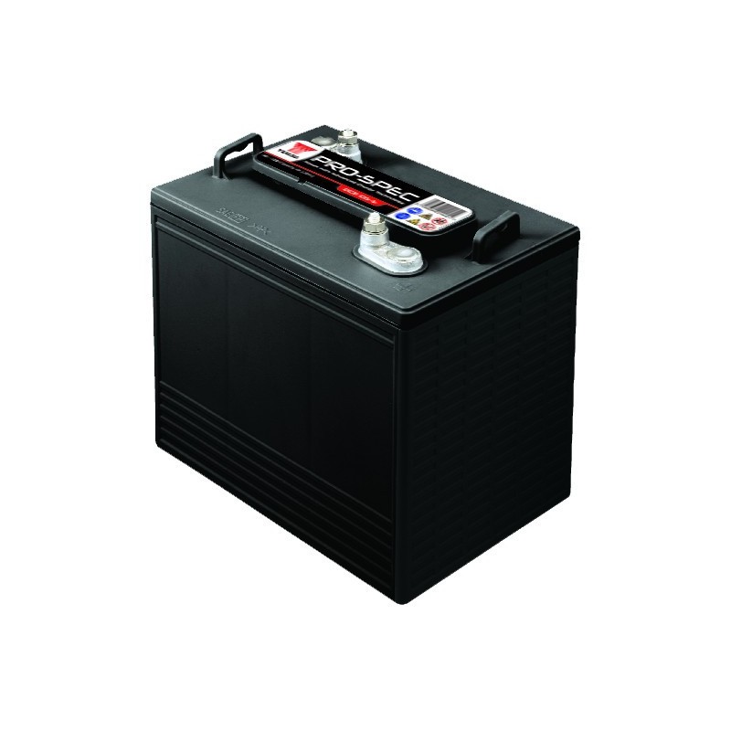 Batterie YUASA DCB105-6 6V 225AH Batterie YUASA DCB105-6 6V 225AH
