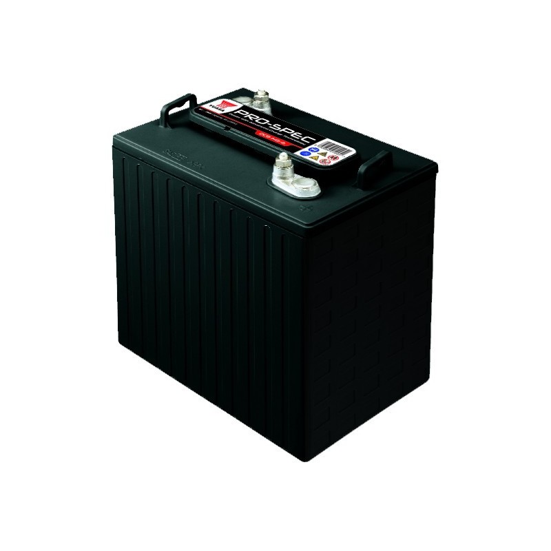 Batterie YUASA DCB145-6 6V 260AH Batterie YUASA DCB145-6 6V 260AH