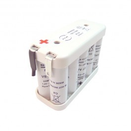 Batterie alarme 12V 800MAH