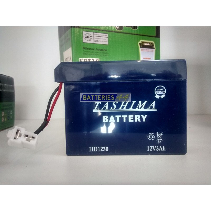 Batterie Tashima 12V 28Ah pour tracteur tondeuse