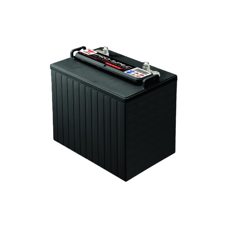 Batterie Traction Deep Cycle Trojan T 875 8v 170ah 260x180x283 Mm